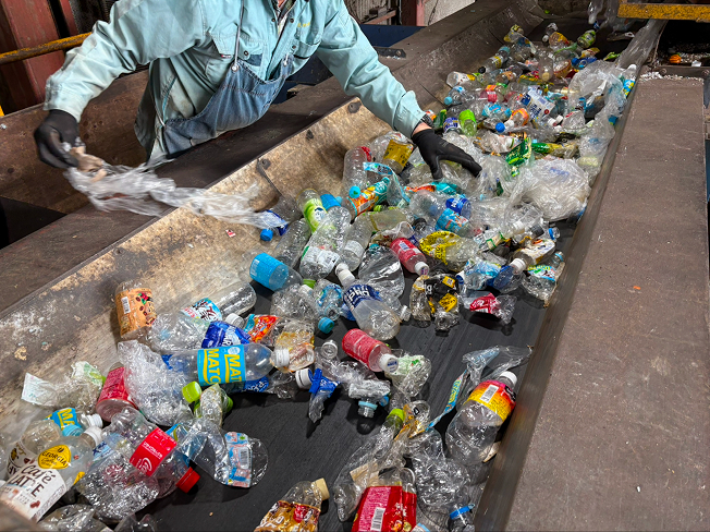 びん・缶・ペットボトルを選別している写真