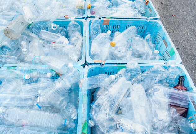回収したペットボトルの写真
